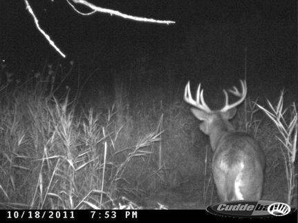 Hunting Land in Fond du Lac County, Wisconsin