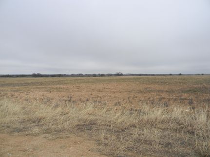 Farm Property in Callahan County, Texas