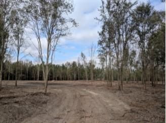 Farm Property in Suwannee County, Florida