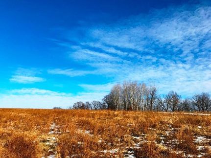Undeveloped Land in Vernon County, Wisconsin