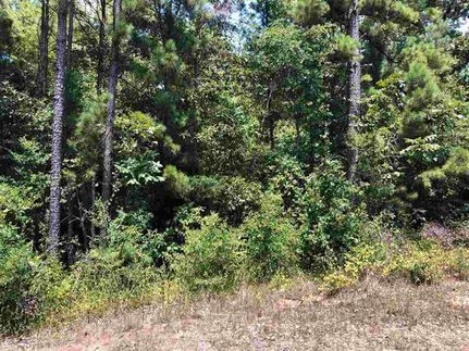 Undeveloped Land in Harrison County, Texas