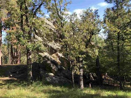 Recreational Property in Custer County, South Dakota