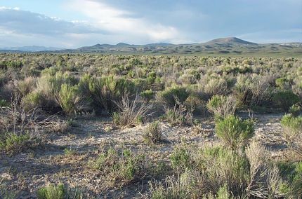 Riverfront Property in Elko County, Nevada