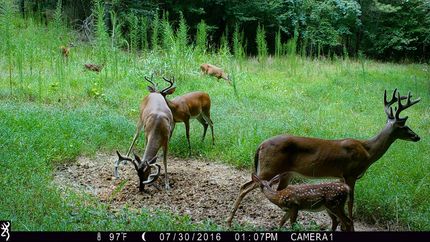 Farm Property in Cherokee County, South Carolina