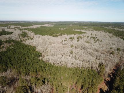 Recreational Property in Bossier Parish, Louisiana