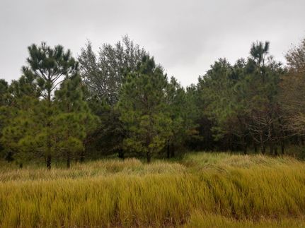 Farm Property in Hardee County, Florida