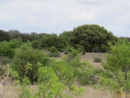 Farm Property in Menard County, Texas