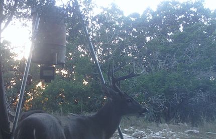 Farm Property in Edwards County, Texas