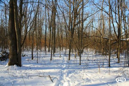 Ranch Property in Morrison County, Minnesota
