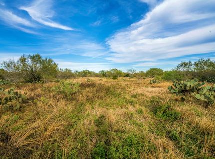 Residential Property in Live Oak County, Texas