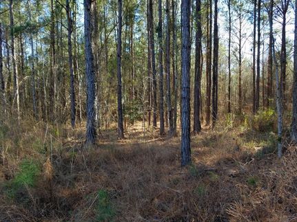 Property in Bullock County, Alabama
