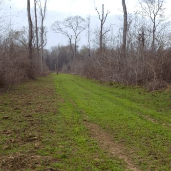 Recreational Property in Washington County, Alabama
