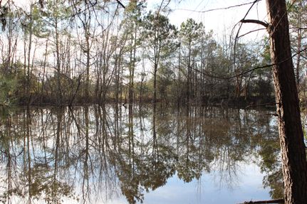 Recreational Property in Macon County, Alabama