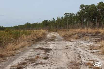 Property in Bladen County, North Carolina