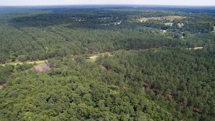 Timberland Property in Montgomery County, Texas