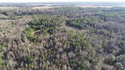 Property in Taylor County, Georgia