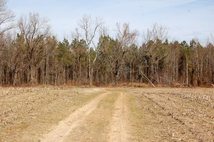 Hunting Land in Westmoreland County, Virginia