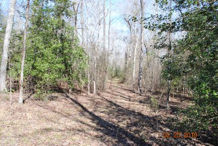 Farm Property in Jefferson County, Georgia