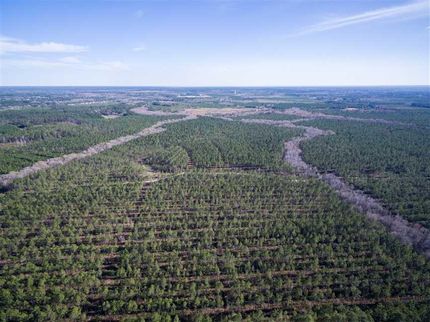 Farm Property in Long County, Georgia