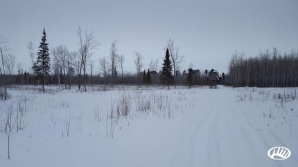 Farm Property in Douglas County, Wisconsin