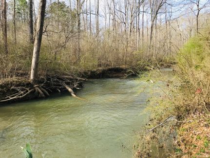 Recreational Property in Saint Clair County, Alabama