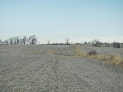 Hunting Land in Nodaway County, Missouri