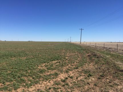 Commercial Property in Randall County, Texas