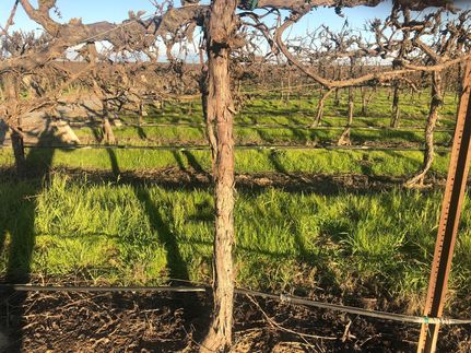 Ranch Property in Madera County, California