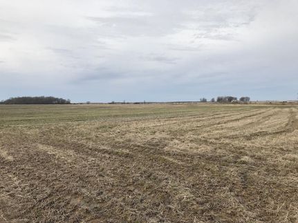 Undeveloped Land in Prairie County, Arkansas