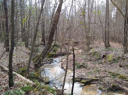 Residential Property in Chester County, South Carolina
