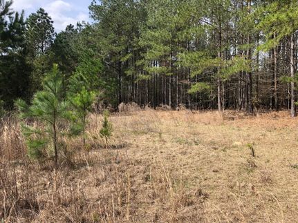 Recreational Property in Lee County, South Carolina