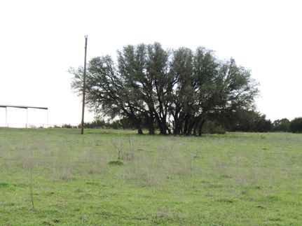 Farm Property in Bosque County, Texas