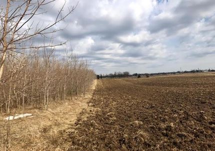 Hunting Land in Mitchell County, Iowa