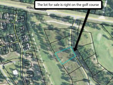 Undeveloped Land in McIntosh County, Georgia