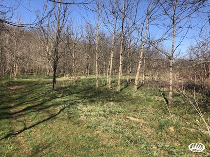 Property in Muskingum County, Ohio