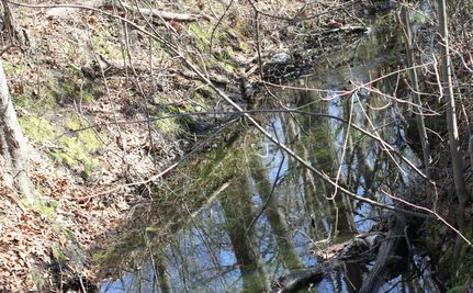 Ranch Property in Scotland County, North Carolina