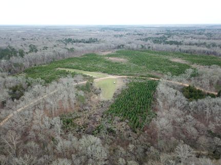 Undeveloped Land in Dallas County, Alabama