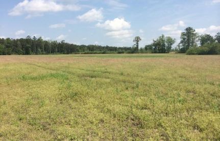 Property in Robeson County, North Carolina