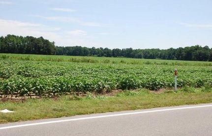 Ranch Property in Hoke County, North Carolina