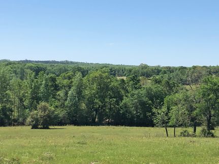 Recreational Property in Freestone County, Texas