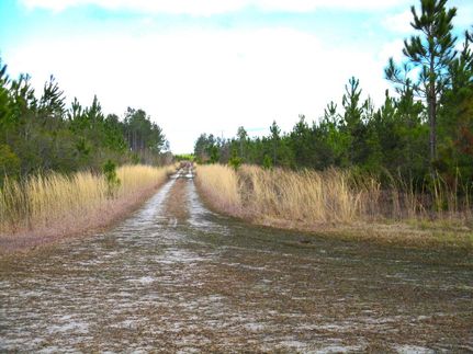 Ranch Property in Ware County, Georgia