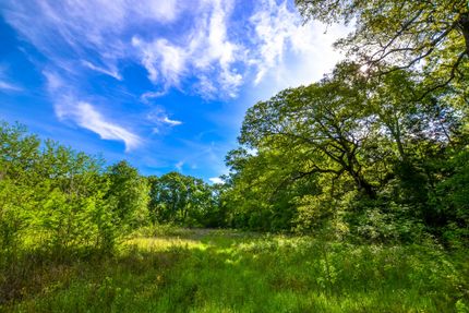 Farm Property in Navarro County, Texas