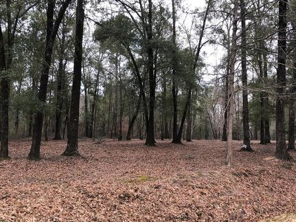 Ranch Property in Laurens County, Georgia