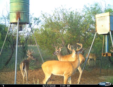 Residential Property in Haskell County, Texas