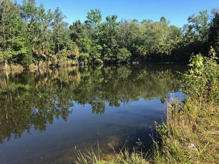 Farm Property in Dixie County, Florida