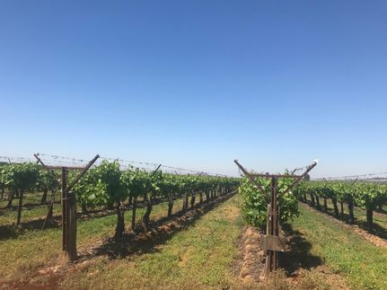 Farm Property in Tulare County, California