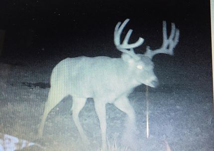 Property in Saline County, Illinois