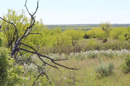 Recreational Property in Stonewall County, Texas