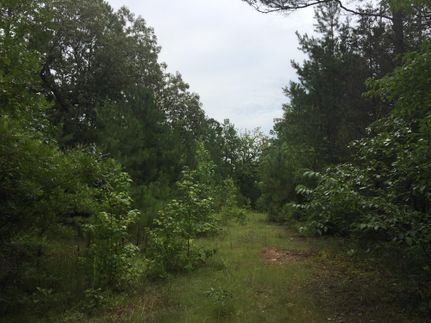 Ranch Property in Abbeville County, South Carolina
