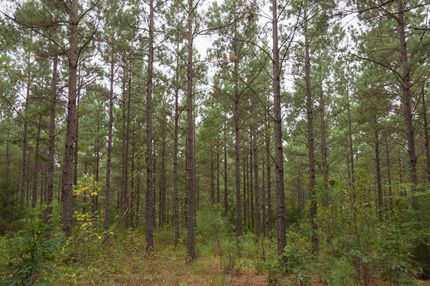 Ranch Property in Richmond County, North Carolina